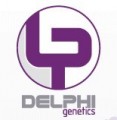 delphi (1)